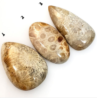 Natural Agatized Cabochons